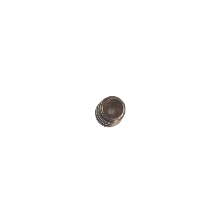WS01F02074 - Genuine OEM GE Range Set Screw
